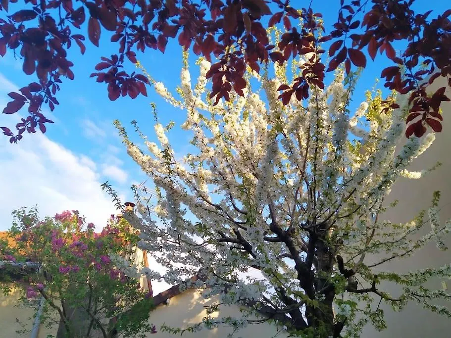 Garden House, Parking, 3 Mins Rer, 1Km Paris Villa Arcueil France